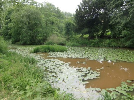 Bergen-Afferden NL : Maasdünen, Schlossruine Bleijenbeek, Wassergraben